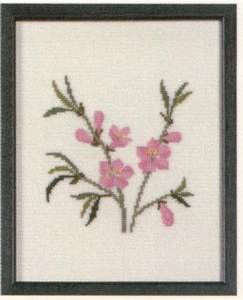 Amerikanische Staatenblumen Peach Blossom Delaware