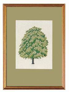 Roßkastanie Serie mit 8 Bäumen (klein)