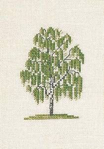 Mini-Birke - Serie mit 8 Bäumen