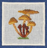 Pilz / Schüppling - Serie mit 6 Motiven