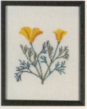 Amerikanische Staatenblumen California Poppy California