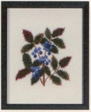 Amerikanische Staatenblumen Oregon Grape Oregon