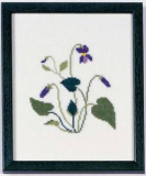 Amerikanische Staatenblumen Violet Rhode Island