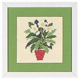 Topfblumen / Christrose - Serie mit 4 Motiven