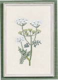 Wiesenkerbel