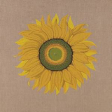 Sonnenblumenblüte klein