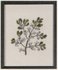 Amerikanische Staatenblumen Mistletoe Oklahoma