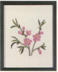 Amerikanische Staatenblumen Peach Blossom Delaware