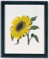 Amerikanische Staatenblumen Sunflower Kansas