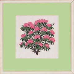 Rhododendron / Serie mit 8 Motiven